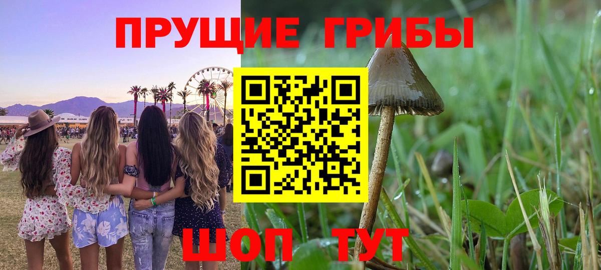 цена   Псилоцибиновые грибы мицелий  Вход с VPN  Усть-Илимск 